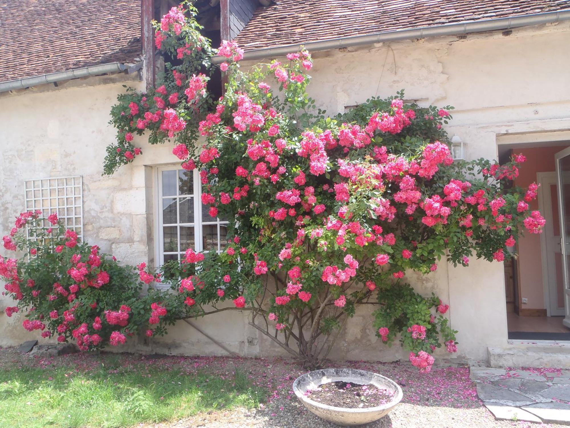 Chambres D'hôtes Du Domaine De Jacquelin Saint-Germain-du-Puy Quarto foto